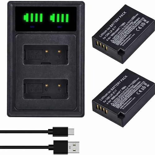 Batteria caricabatterie - 2x,